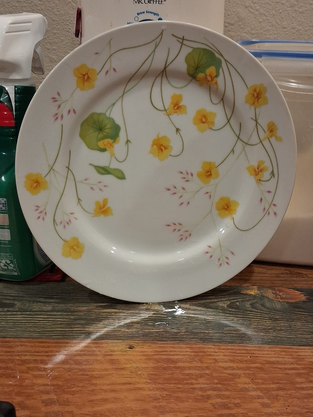 Nicole Yellow Floral Vine Ceramic Dinner Plate
